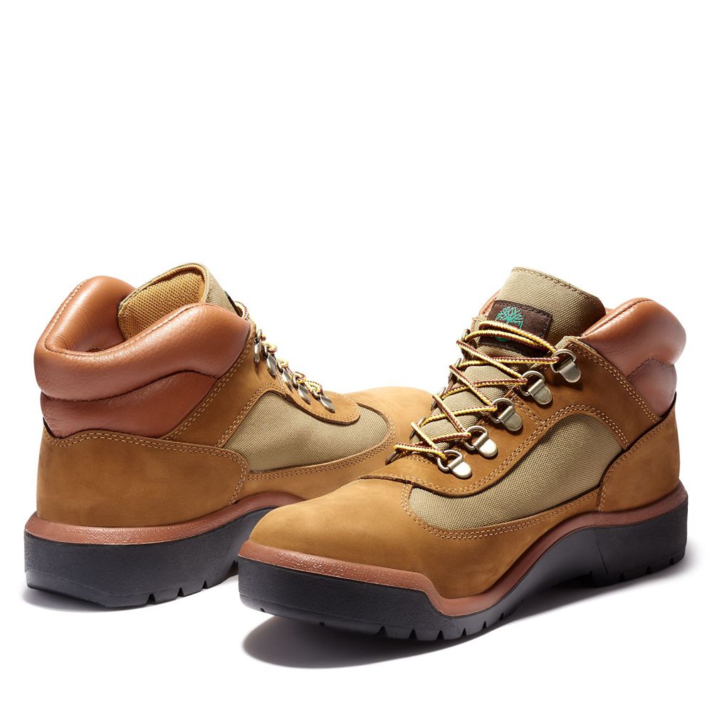 Zapatillas Timberland Hombre Waterproof Field Boots Marrones - Chile TSO-269587